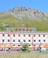 眾升科技系統輕載補償裝置--助力青海威斯特銅業有限責任公司,高效用電、改善電能質量!